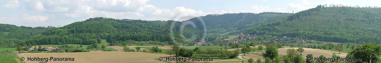 Diersburg vom Spitzw&auml;ldle