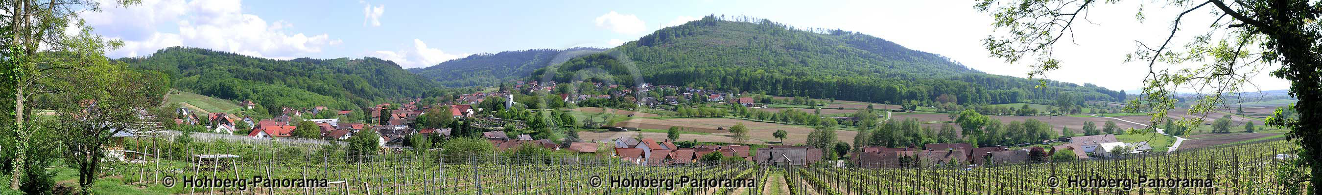 Diersburg von Norden