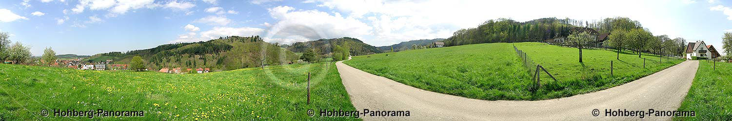 Diersburg H&ouml;fle