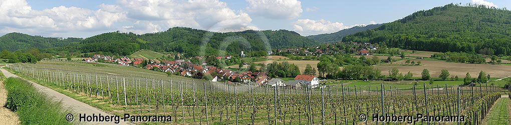Diersburg von Nord - Westen