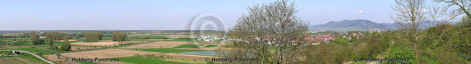 Hofweier von Niederschopfheim