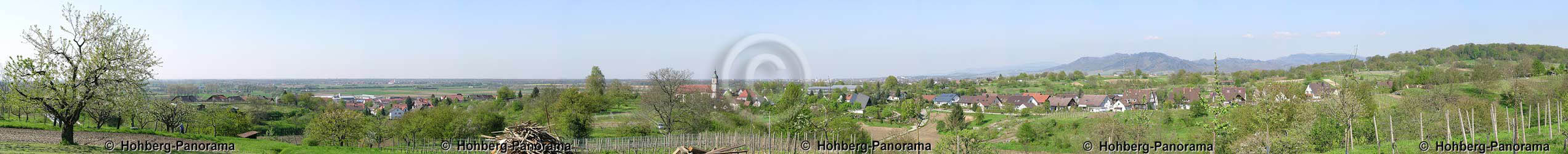 Hofweier von S&uuml;den