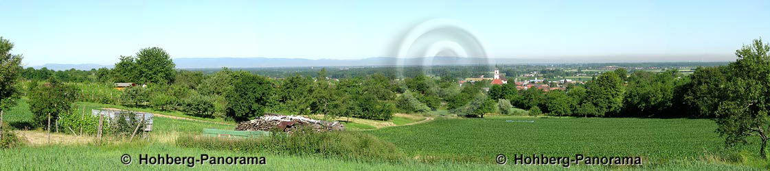 Hofweier vom Waldacker